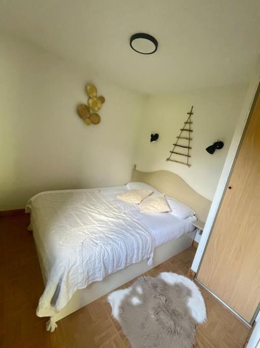 Appt 4 Pers, Pied Des Pistes Apartment Флюме Екстериор снимка